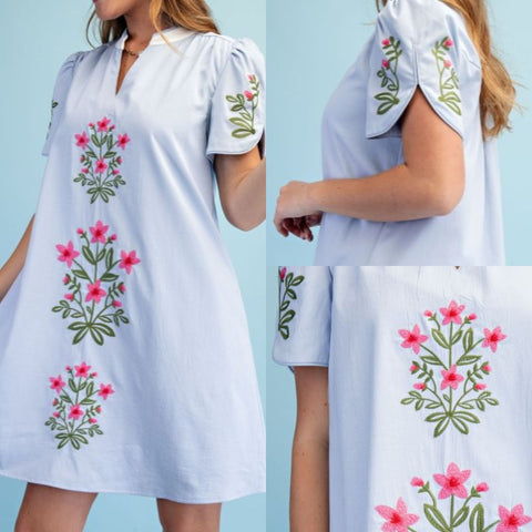 Floral Embroidered V-Neck Dress