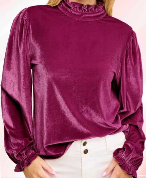 Soft Velvet Long Puff Sleeve Top