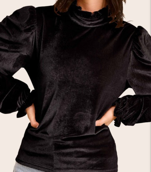 Soft Velvet Long Puff Sleeve Top