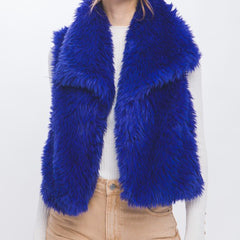 Faux Fur Vest