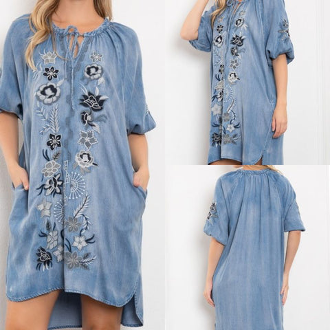Floral Embroidered Balloon Sleeve Dress