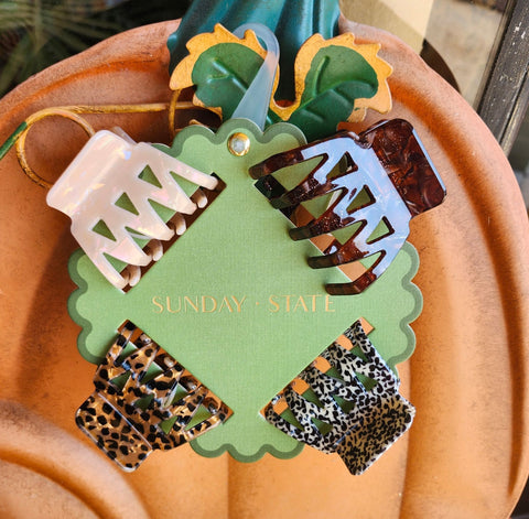 Animal Printed Hair Clips