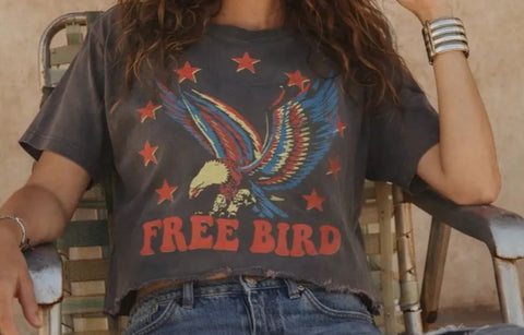 Free Bird 22 Vintage Relaxed Crop Tee