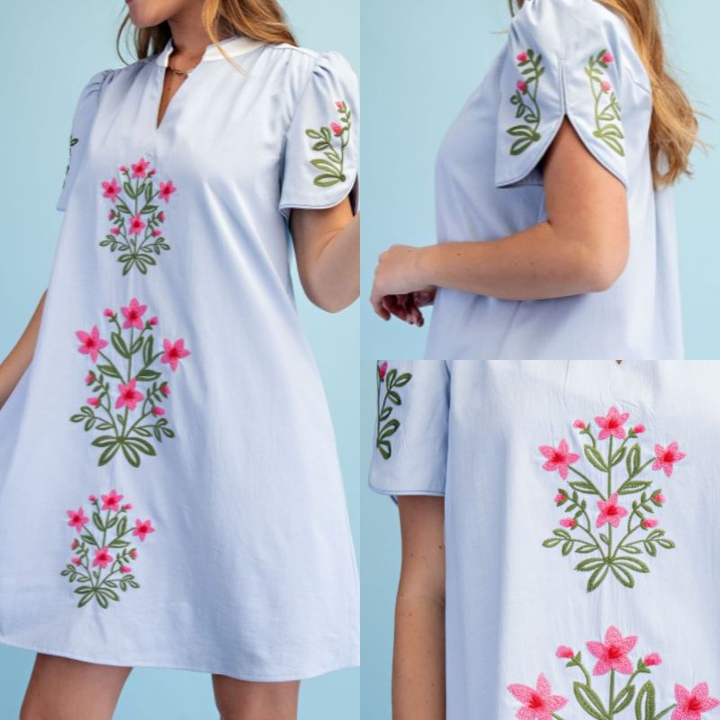 Floral Embroidered V-Neck Dress