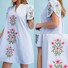 Floral Embroidered V-Neck Dress